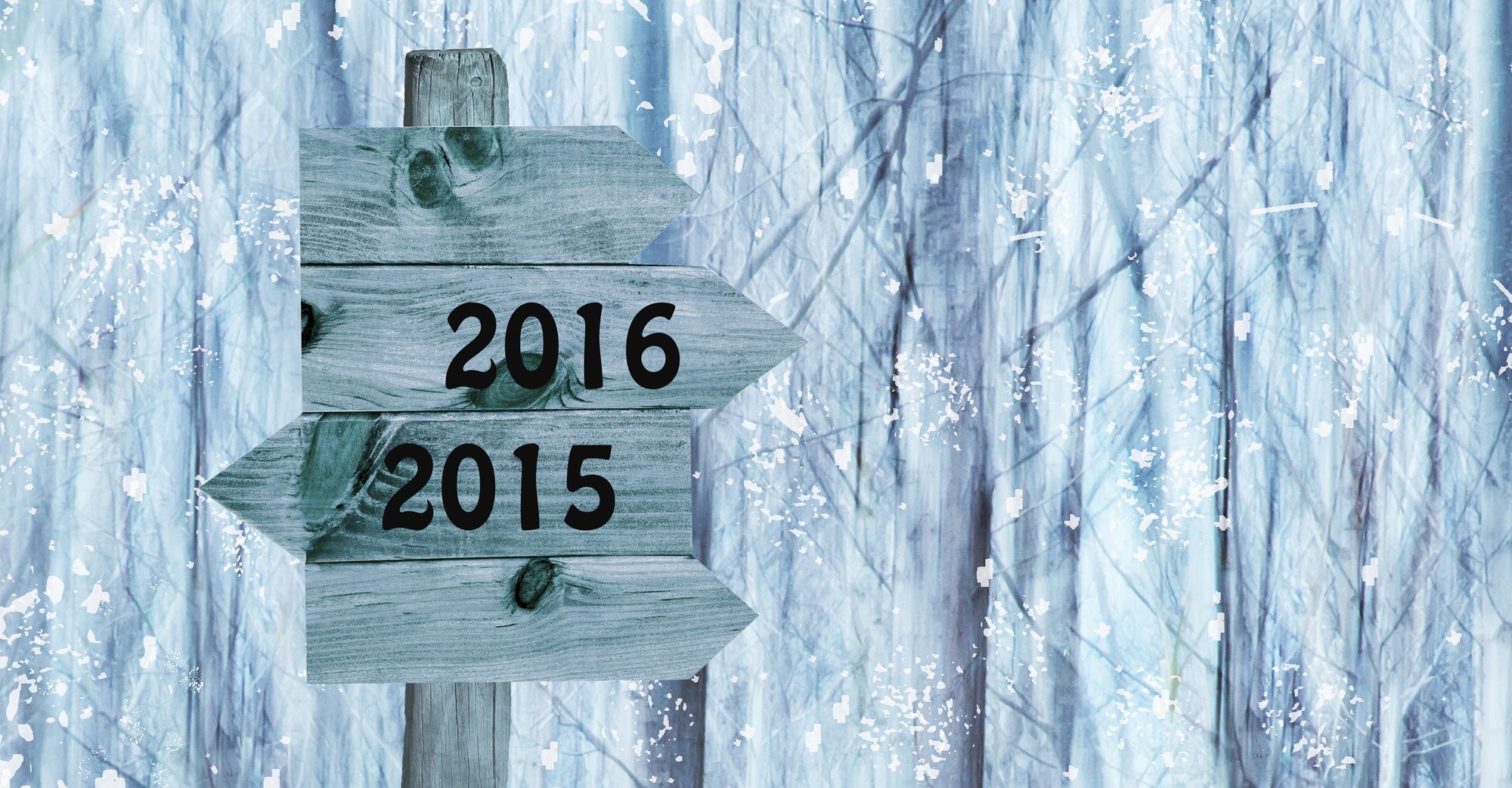 2015: A Year in Review - Bloop Animation 2015: A Year in Review - Bloop Animation